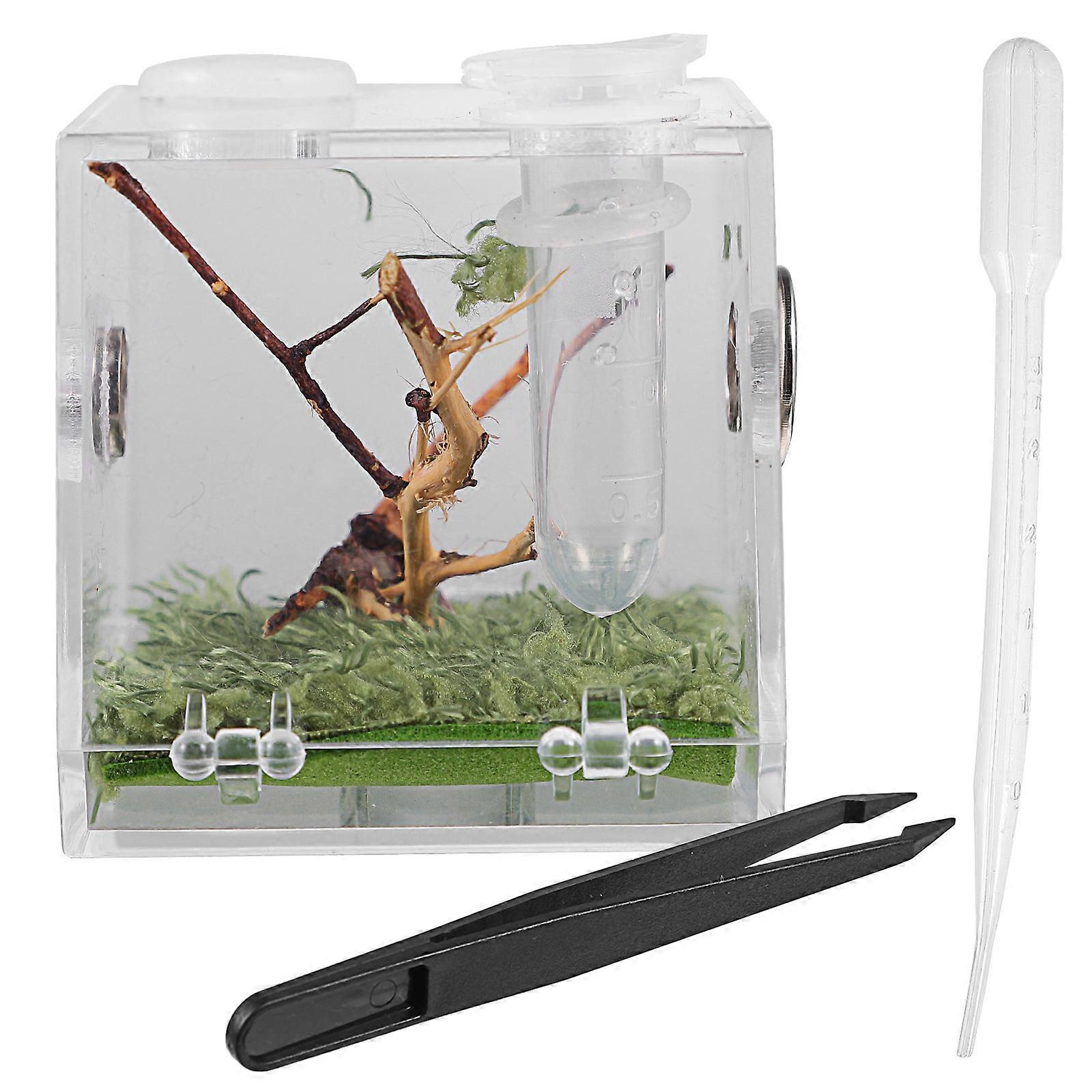 Reptile Case Cube 2Pcs Designed For Insect Breeders And Pet Owners Lightweight Storage Solution