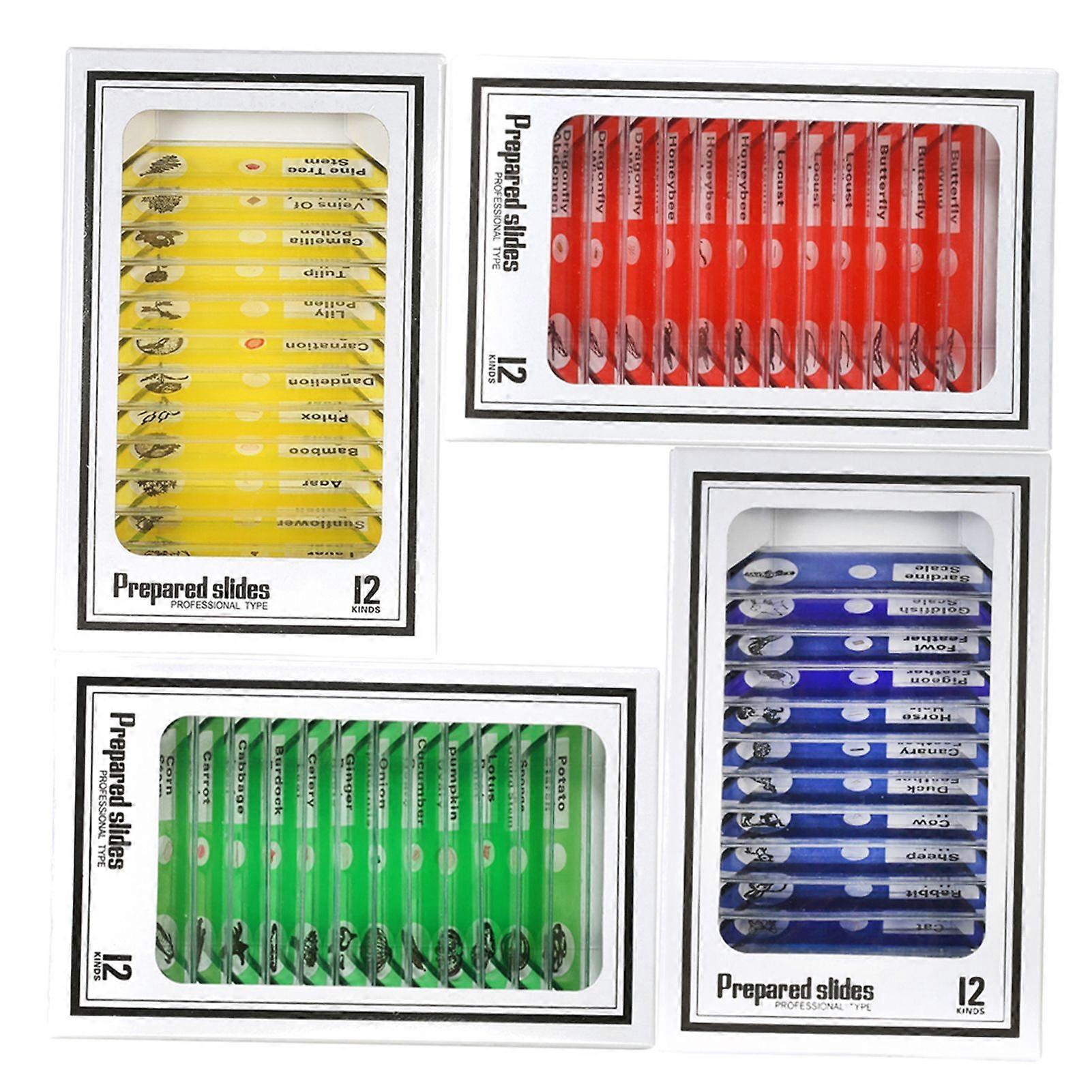 48pcs/set Plastic Prepared Microscope Slides Animals Insects Plants Sample Specimens Slides Set with Color Labels for Kids Students