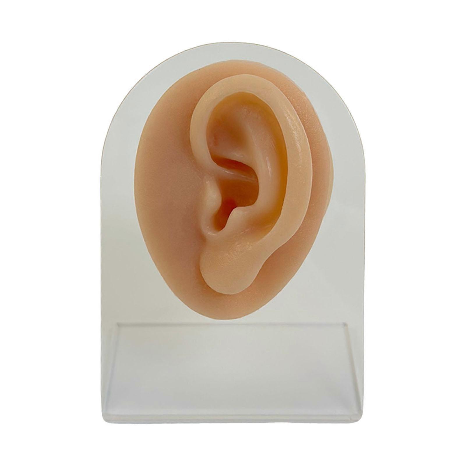 Reusable Silicone Facials Anatomy Practice Model For Safe Piercing Drills In Medicals Classes And Cosmetology Workshops Multicolor