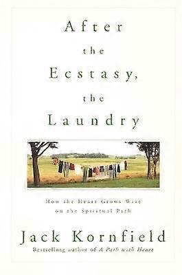 After the Ecstasy the Laundry