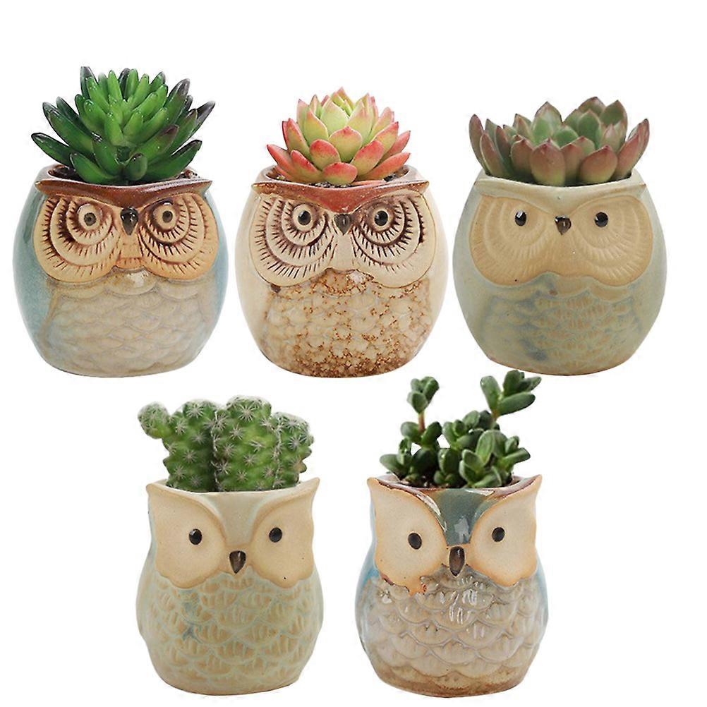 Ceramic Owl Shape Flower Pot for Storage 5Pcs Garden Home Use