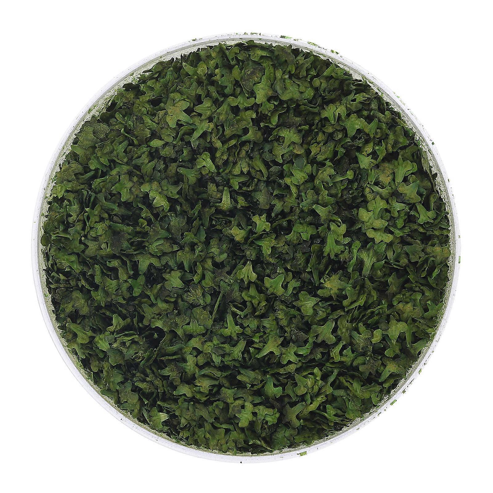 Resin Simulation Leaf Model Miniature Leaf Decor for DIY 1 Box