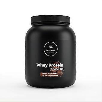 Premium Molkenprotein Schokolade - 1,000 g