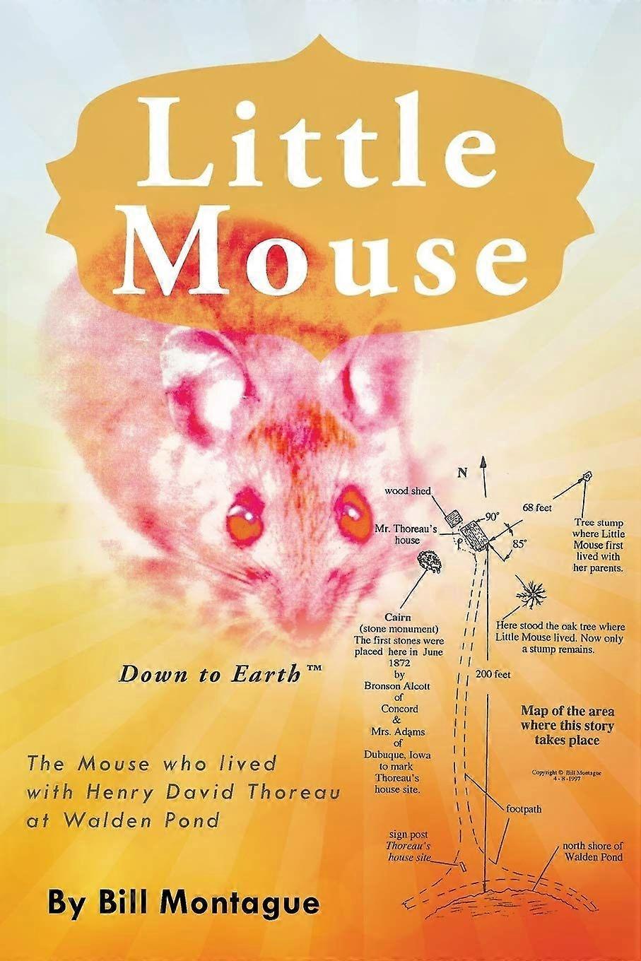 Little mouse
