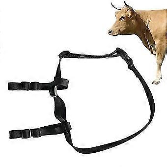 Cat Harness with Leash, Escape-proof Adjustable Soft Skin-friendly Fabric for Kittens Small Puppies and Rabbits, XS-S