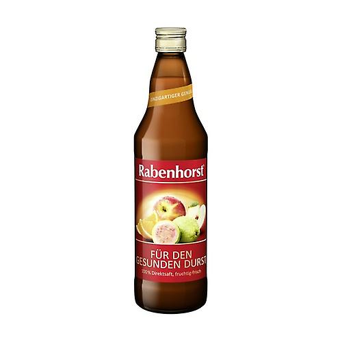 Apple, Orange and Guava Juice 750 ml (Orange - Apple - Guava)