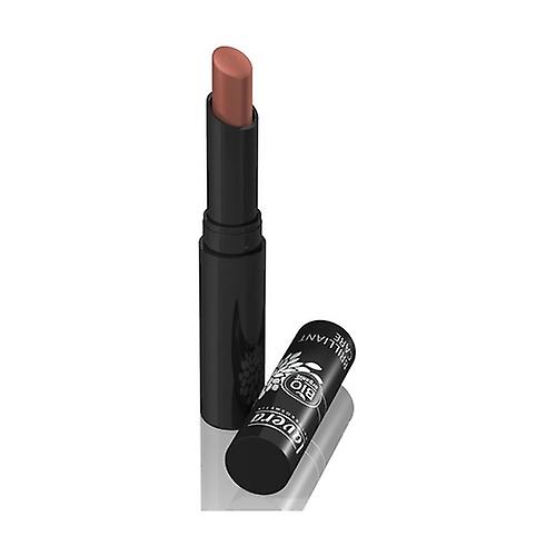 Shiny Lipstick # 04 Creamy Nut 2,85 g (Maroon)