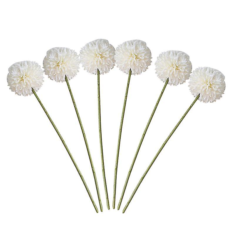 6 stuks Nephortensia