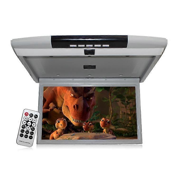 19" Overhead TV Monitor Roof Mount/Flip-Up Monitor Display