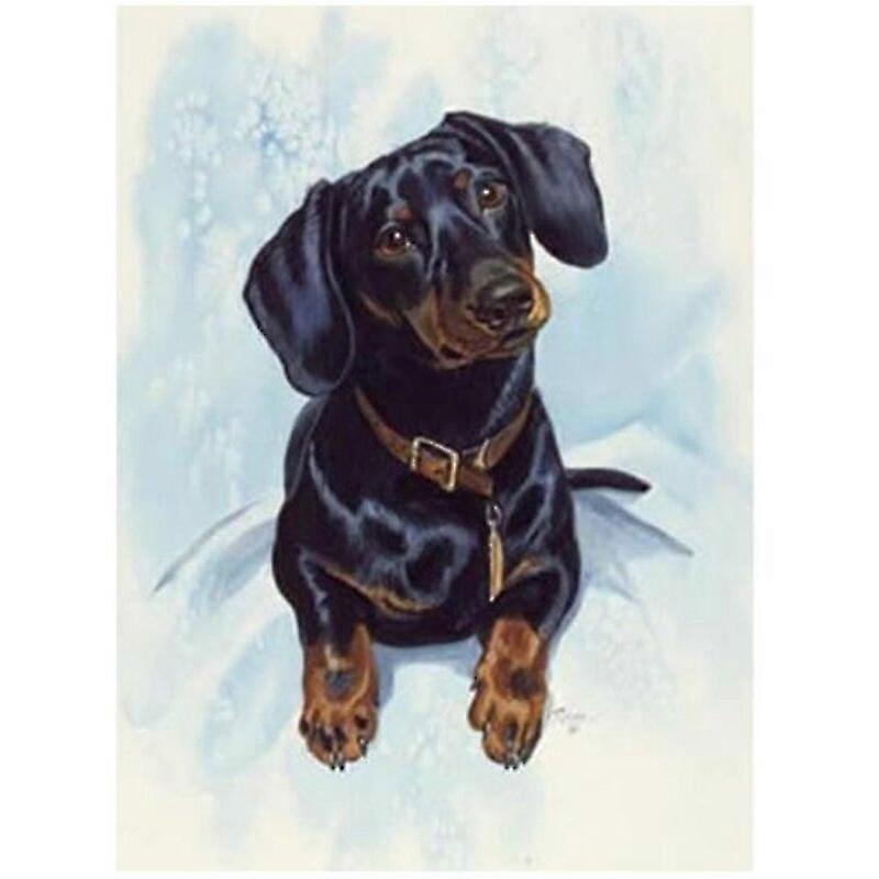 Diy 5d Diamond Painting Dog Dachshund Diamond Embroidery Diamond Mosaic Full Round Picture Of Rhinestones