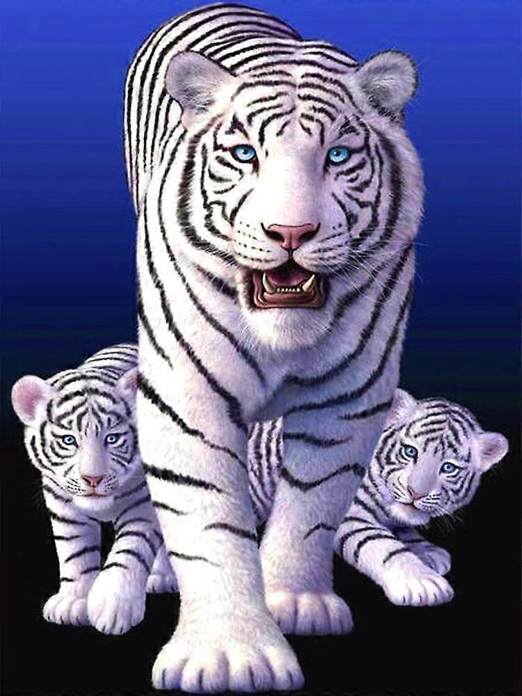 Dww-30 x 40 cm ,trois tigres blancs Diamond Painting Broderie Diamant Peinture  Canevas 5d Tableau Enfant Adulte Strass Lot Puzzle Dessin Decoration M