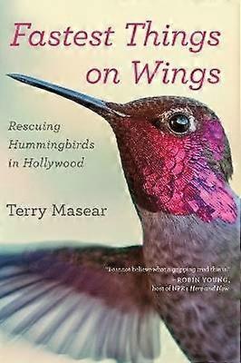 Fastest Things On Wings