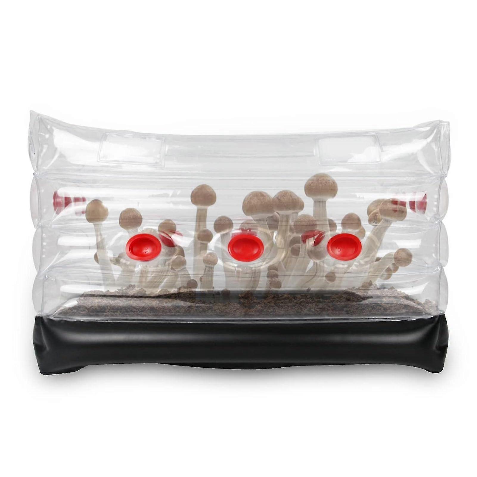 Mushroom Monotub Grow Box Set with Inflatable Storage for Home Use, Large Square Shape with Fresh Air Exchange for Easy Storage of Mushroom Grow Bags