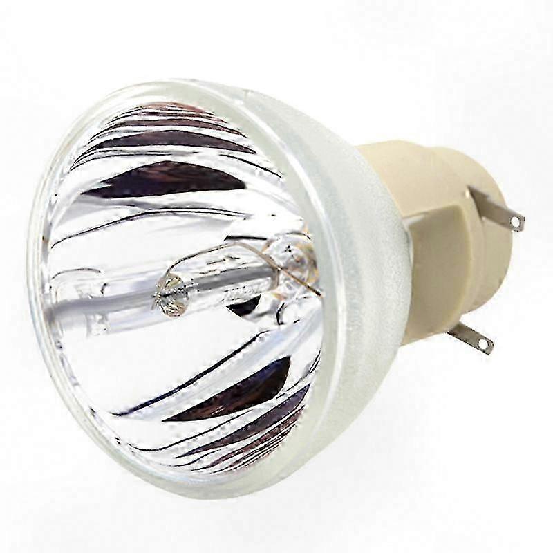 BenQ Projector Replacement Bulbs for W1070, W1070+, W1080, W1080ST, HT1085ST, HT1075, W1300 - 240/0.8 E20.9N Specs