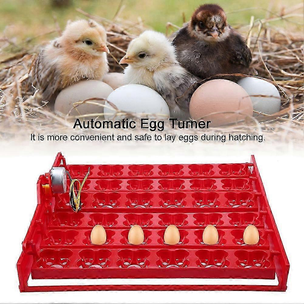 36 Eggs/144 Bird Eggs Incubator Hatcher Automatic Egg Turning Tray Tool (220V motor)