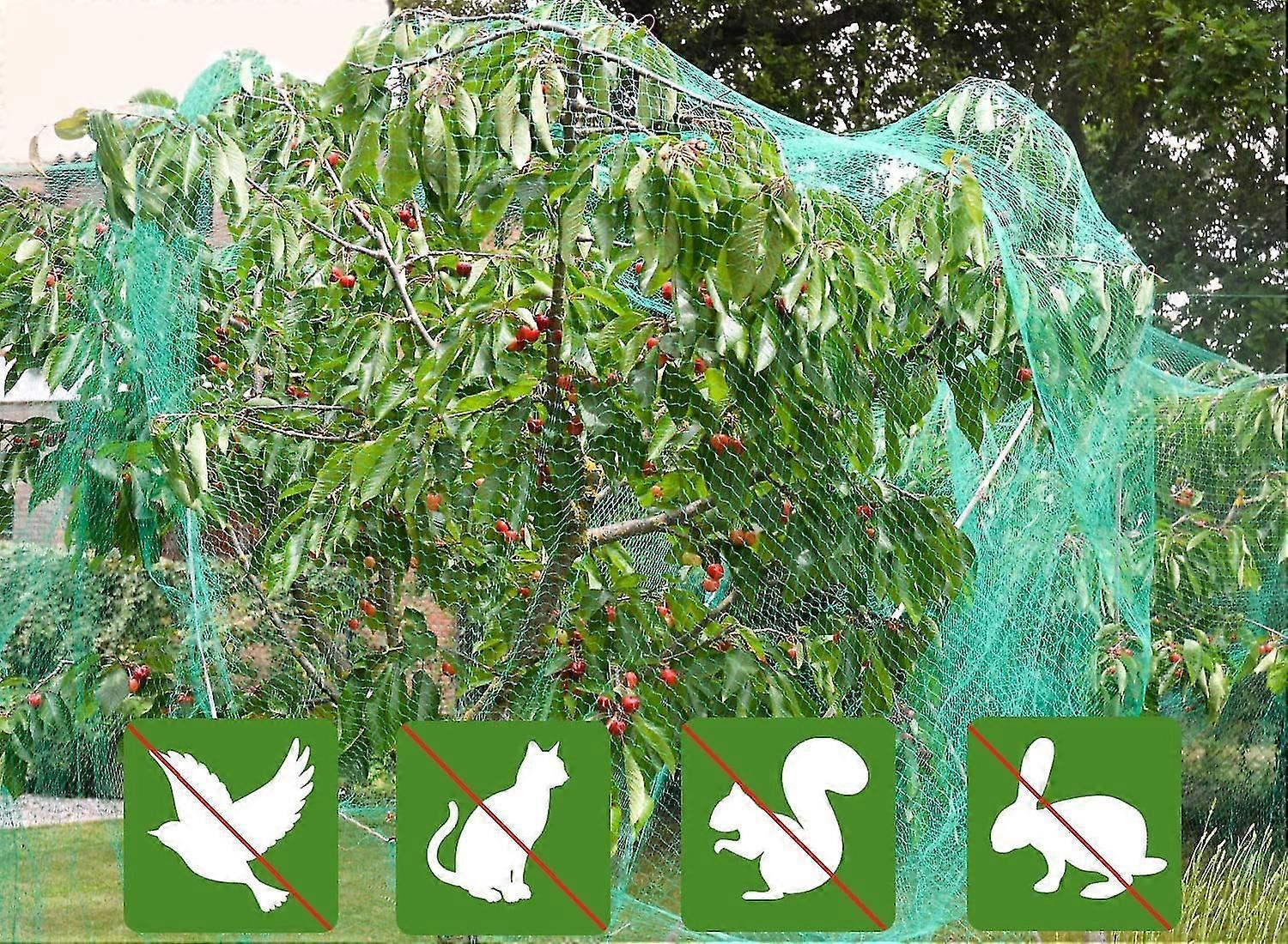 Garden Netting, 2m X 10m Bird Netting For Plants Fruit Vegetable