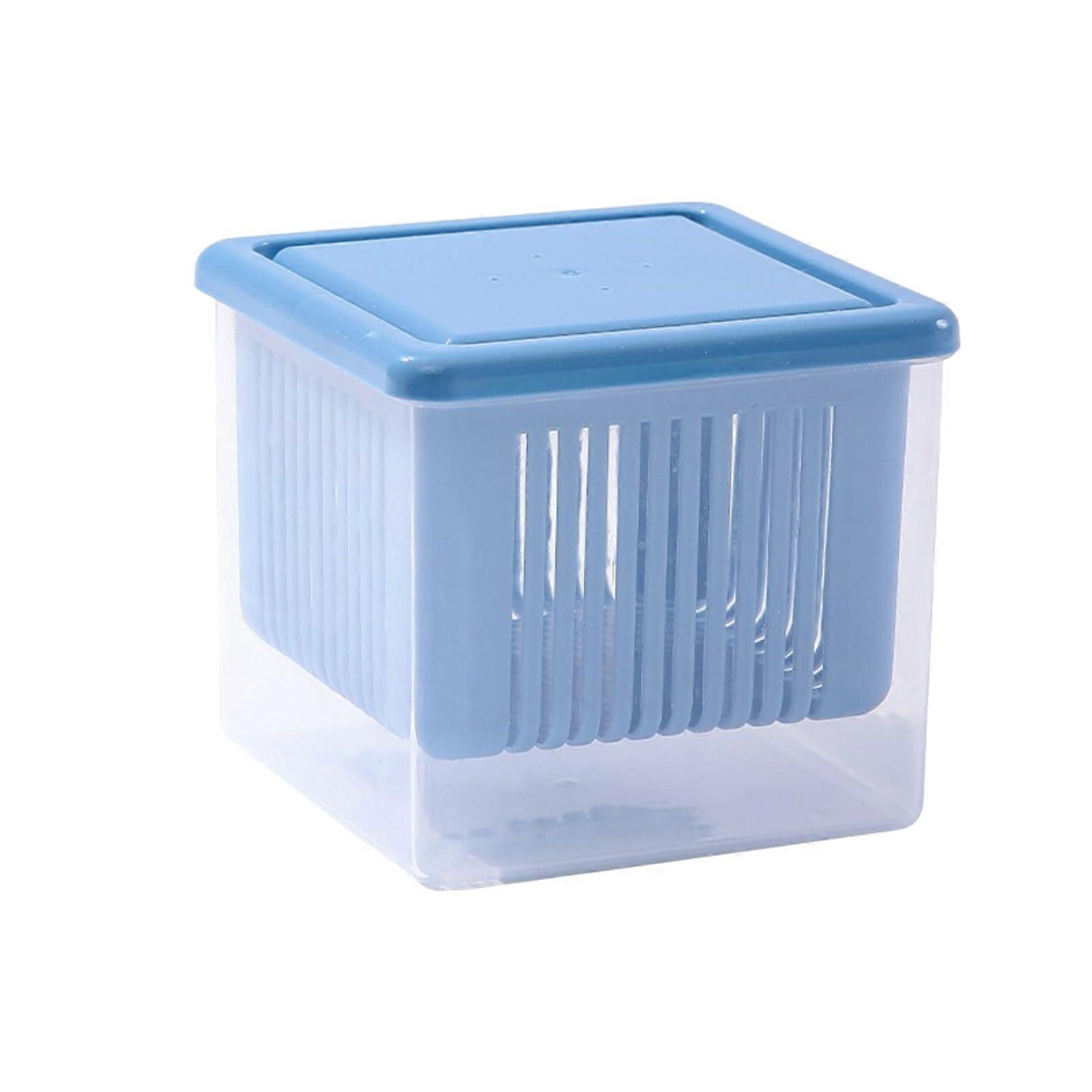 Food Storage Container with OdorSealing Lid and Drain Basket, Refrigerator Organizer for Garlic Ginger Onion, Clear Food Grade PP