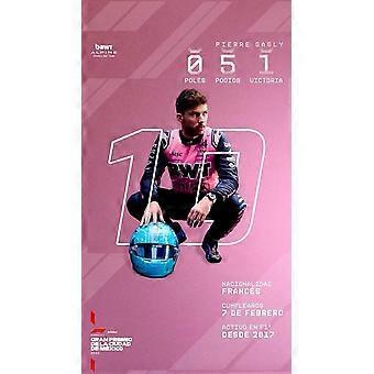 Pierre Gasly Immersive Jigsaw Puzzles DS-212