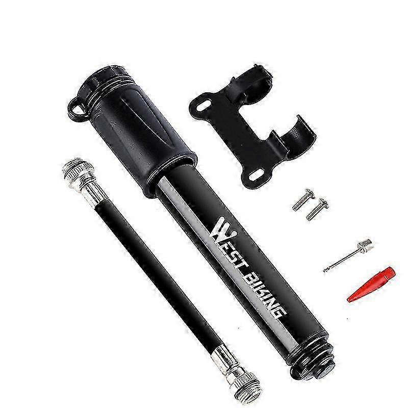 100 PSI Lightweight Aluminium Pump