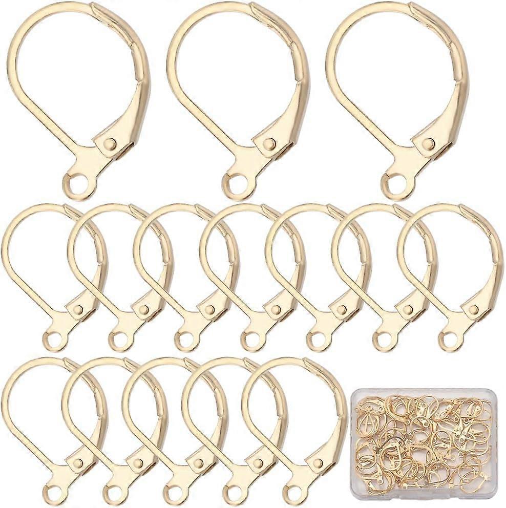 1 Box 60Pcs Real 24K Gold Plated Earring Hooks 304 Stainless Steel Leverback Earring Findings with Loop Lever Backs Ear Wire French Earwires Hoop for