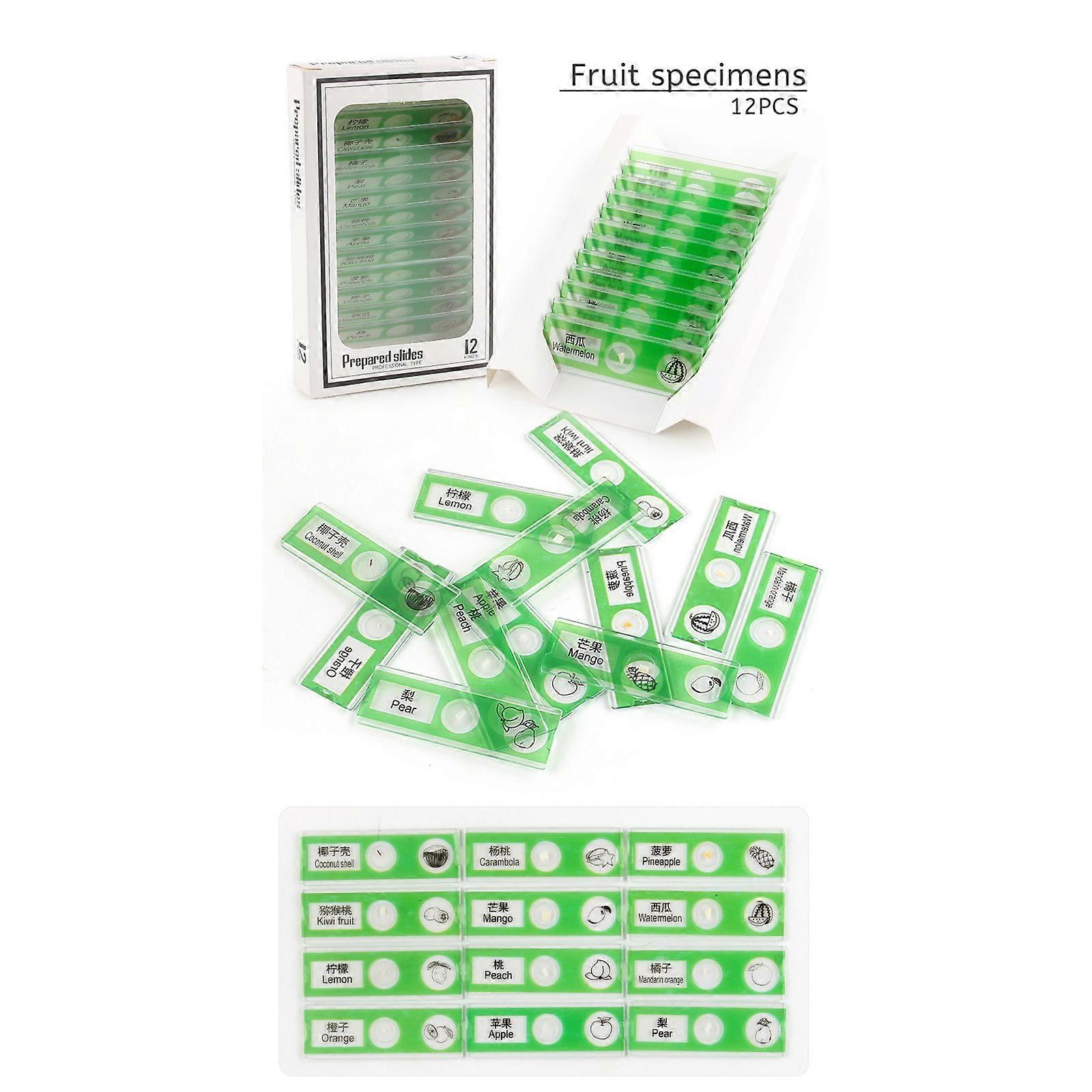 Children's Microscope Specimens,, Plant And Insect Biological Sections, Scientific Small Production, Experimental Toys