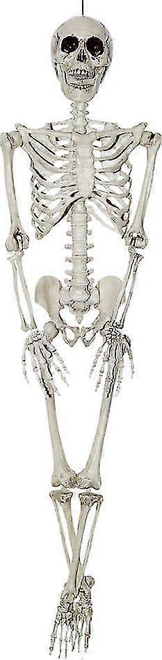 Hanging Skeleton - Costume Accessory