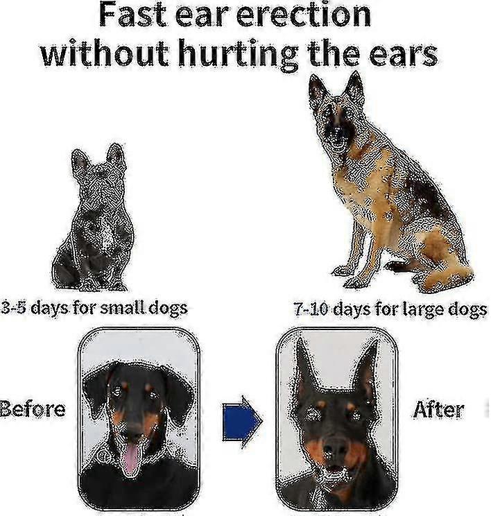 Dog Ear Stand Fixed Support Correction Erect Holder Patch For Doberman Pinscher Sheltie Corgi