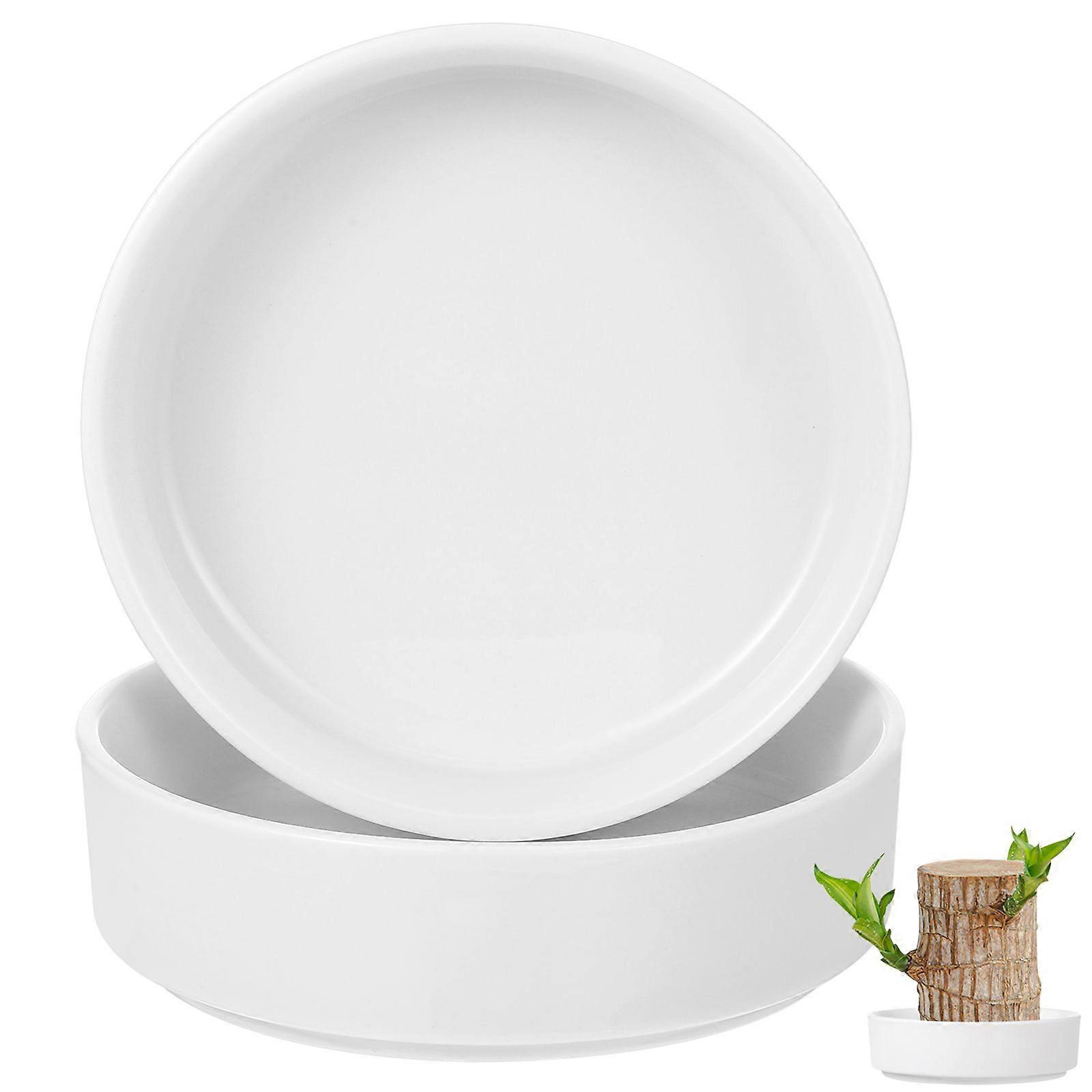 2 قطع البرازيلي الخشب المحفوظ بوعاء النباتات السيراميك صينية حامل سطح المكتب الديكور