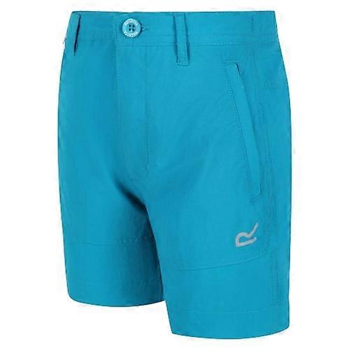 Regatta Childrens/Kids Highton Walking Shorts