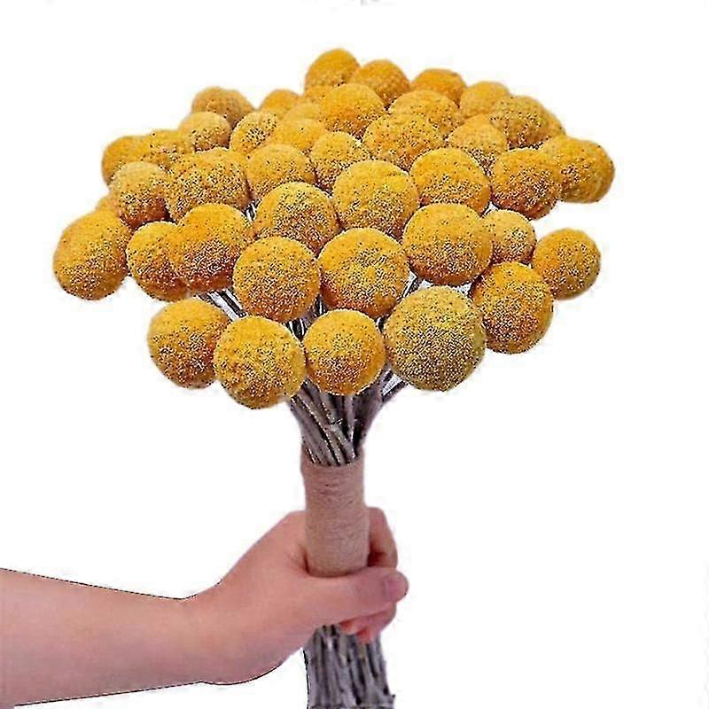 Natural Dried Flower Yellow Ball Bouquet Bunch, Real Freshly Harvested Dried Plant Bunch, Decoration