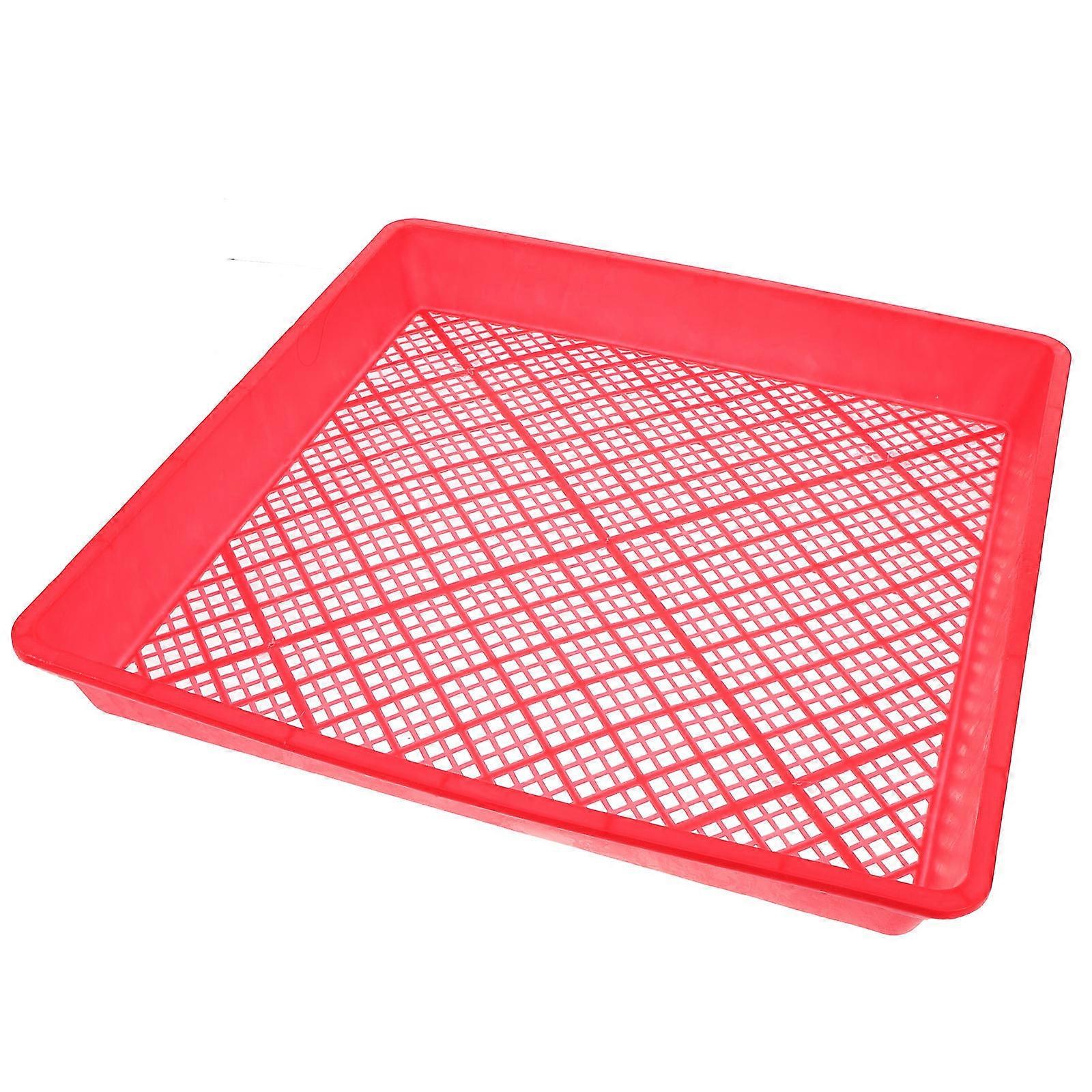 Tray Vegetable Nursery Tray for Growing with Holes