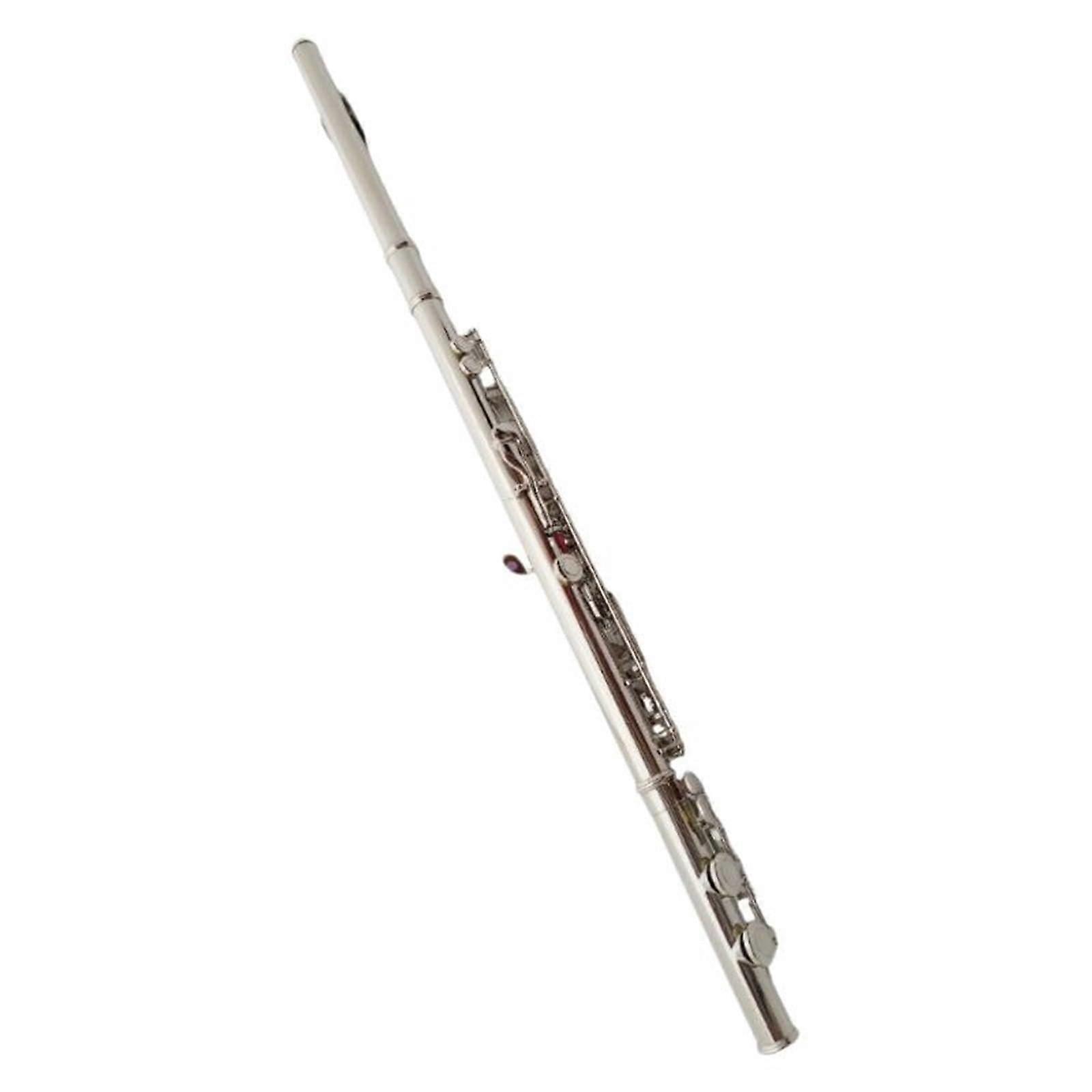 Beginner Flute in C Major with E Key, Clear Smooth Tone, Easy Playability for Adults