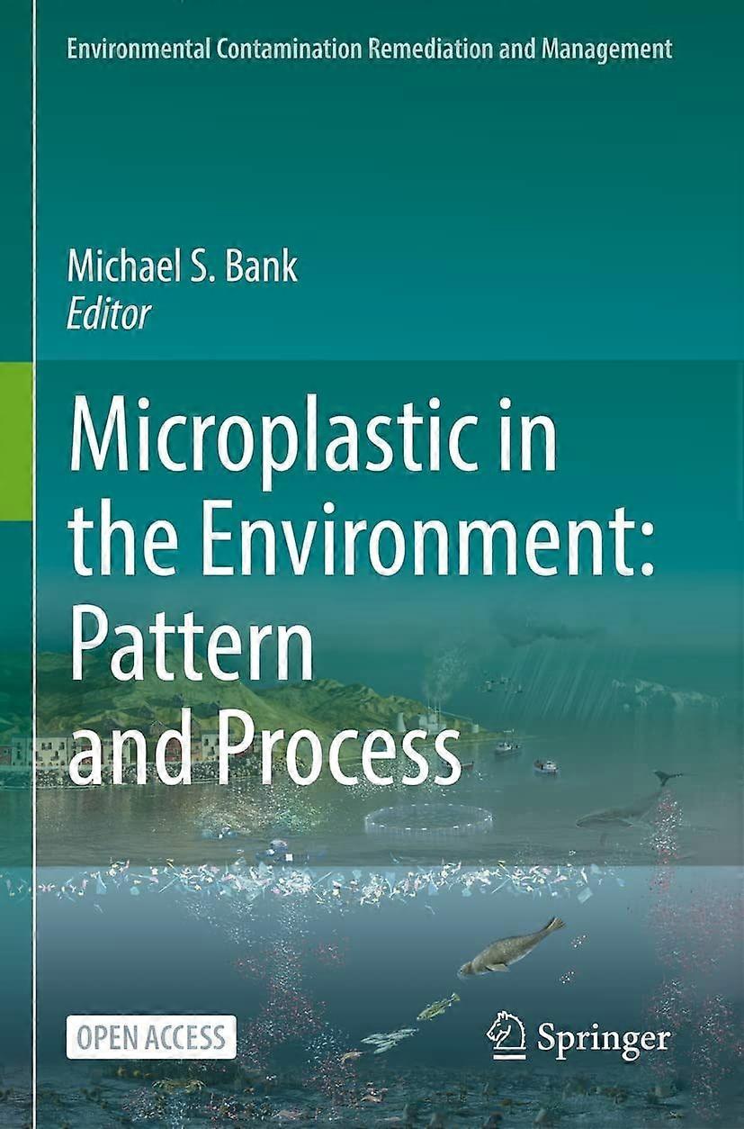 Microplastic in the environment pattern and process
