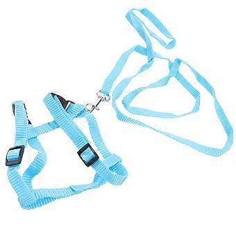 Pet Traction Rope Nylon Strap for Rabbit Pulling 3Pcs Practical Set