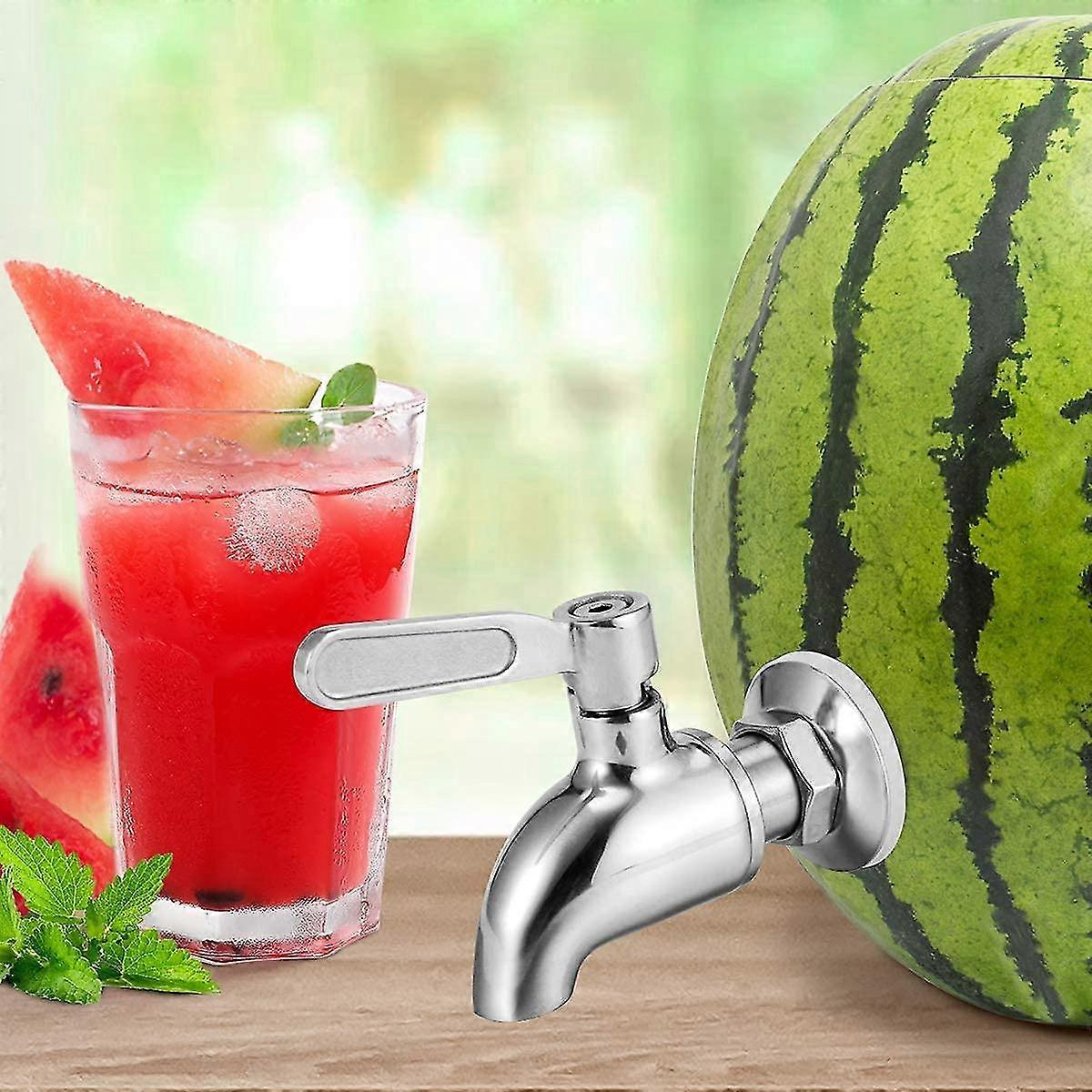 Stainless Steel Watermelon Keg Tap Kit