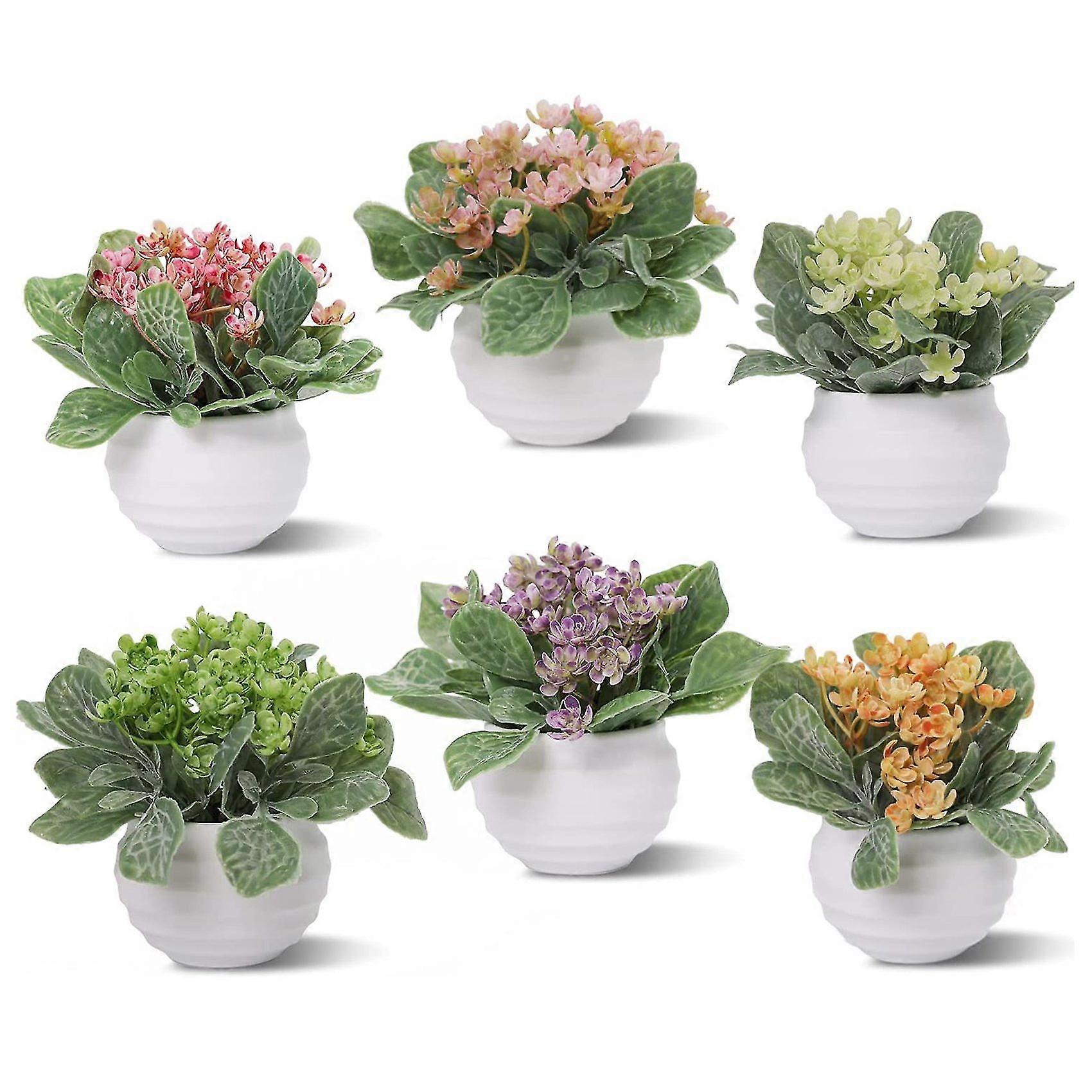 Pflanzen 6 Packungen Kleine knstliche Kunststoff Pflanzen Set Home Decor  Mini Topf Kunstblumen und Kruter Gr | Fruugo DE