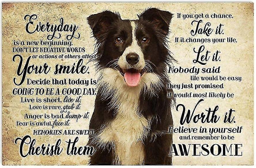 Border Collie Dog, Once Upon A Time There Was A Girl Who Really Loved Border Collie That Was Me Meta