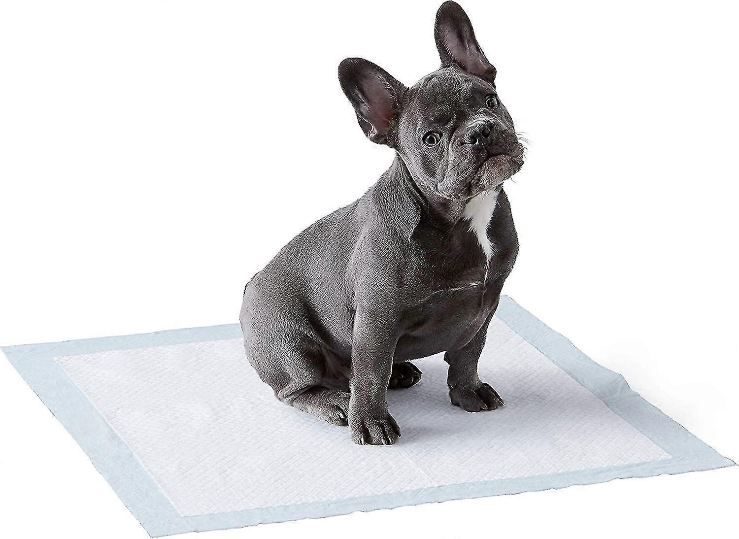 160 Pack Potty Training Mats, Normal