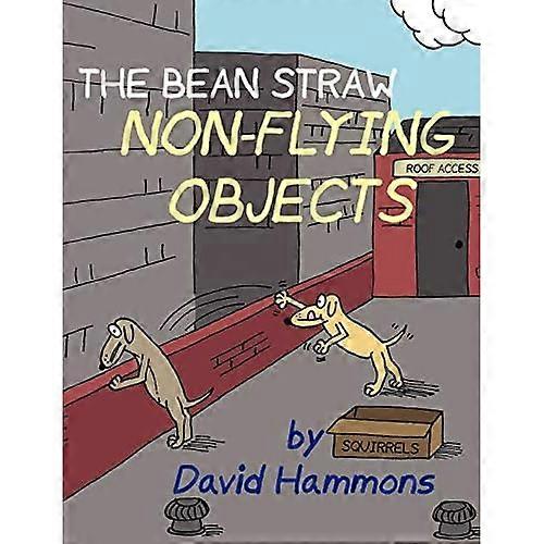 The Bean Straw: Non-Flying Objects