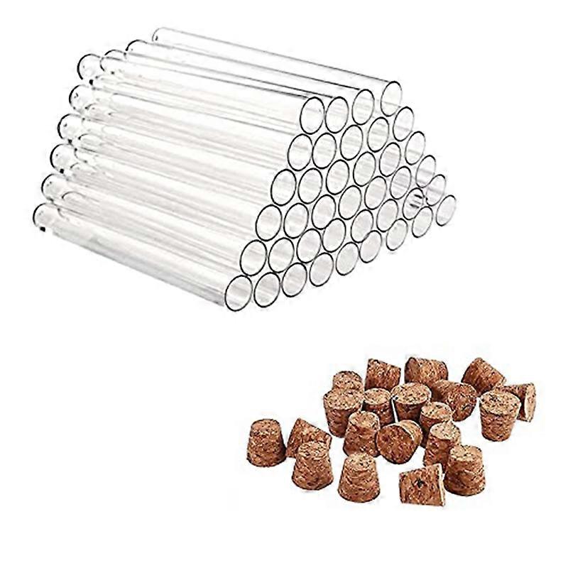 Pack of 40 Plastic Test Tubes with Corks 20Ml Test Tubes for Flowers