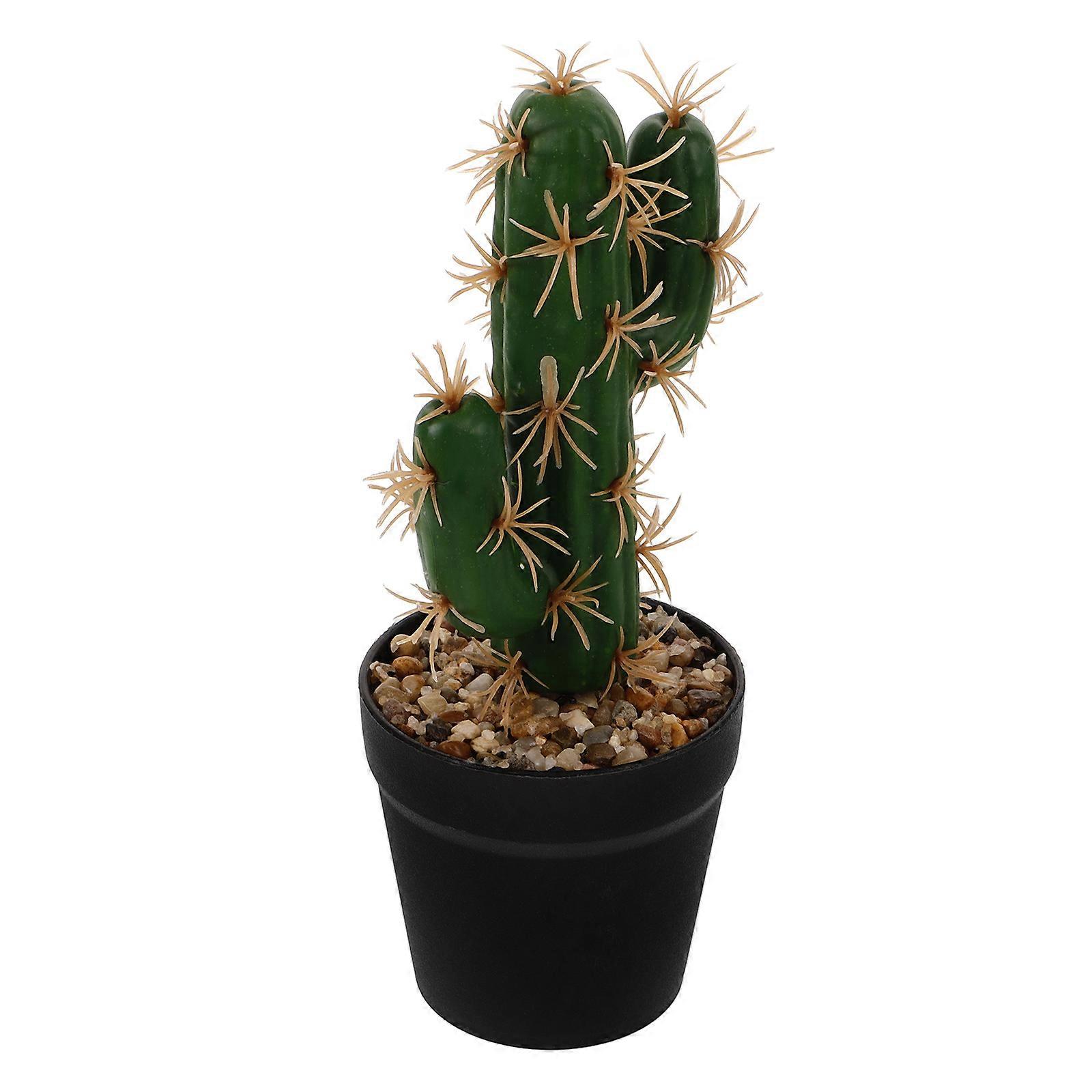 Mini Cactus Statue, Functional and Aesthetic, Elevates Living Spaces