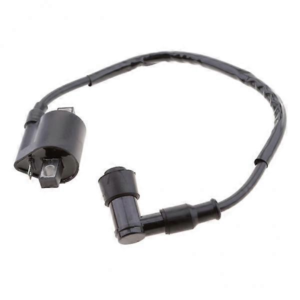 High Performance Ignition Coil Kit for PW50 - Complete Assembly