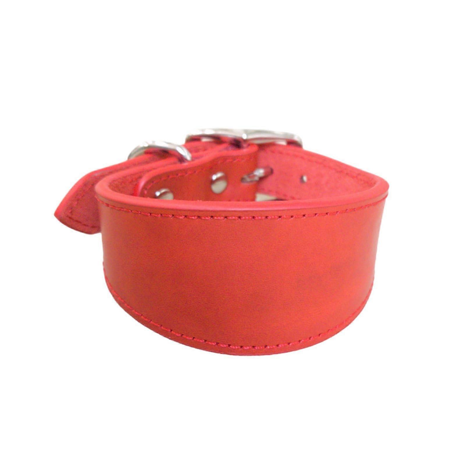 Leather Dog Collar Soft Padded Whippet Salukis Greyhound Adjustable Collar Large Breed Ref: 9966