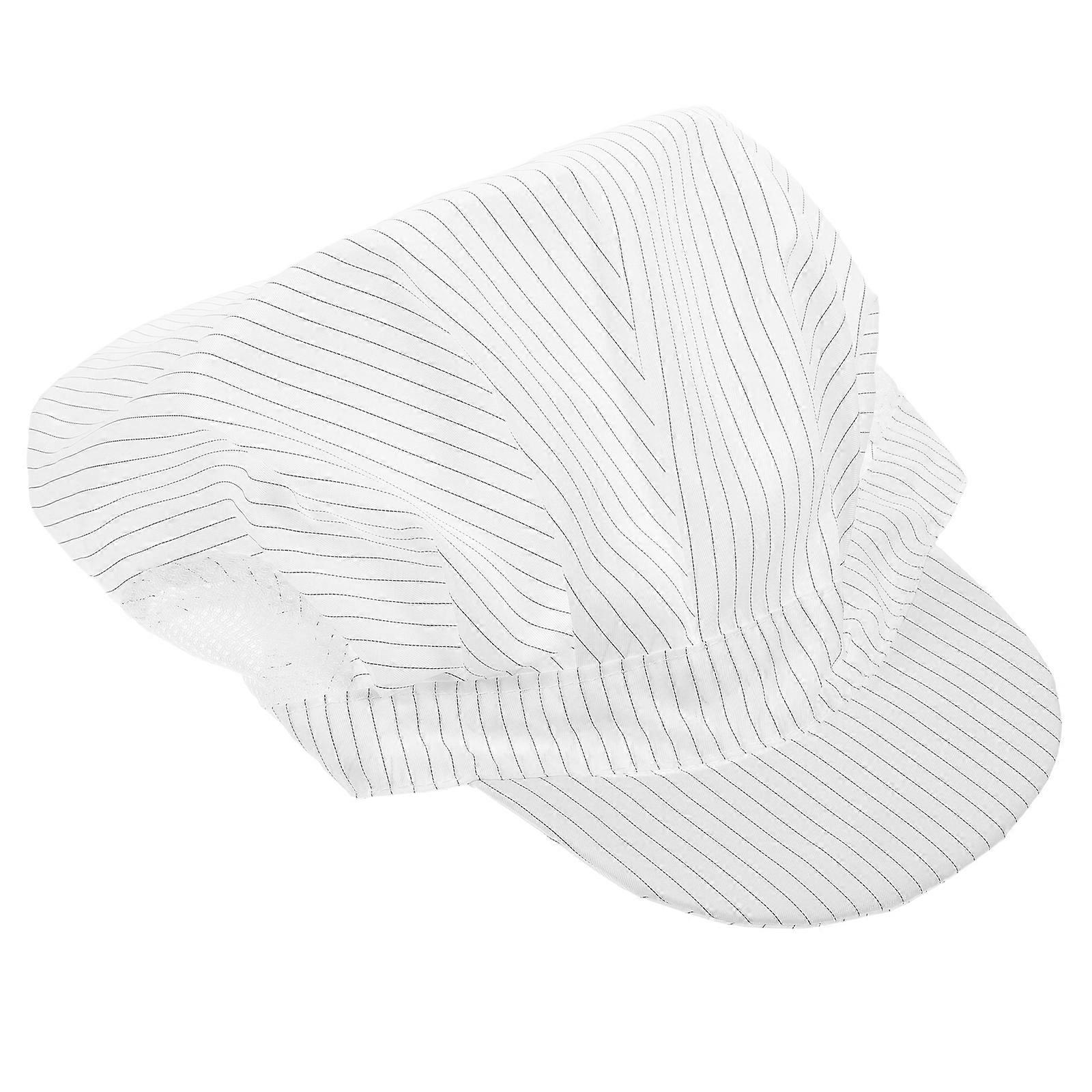 Breathable Anti Static Cap for Electronics Workshop Use 2Pcs Protective Hat