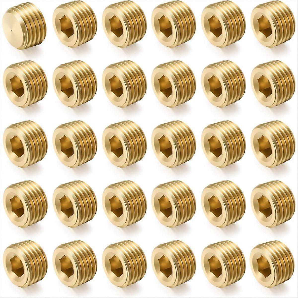 30Pcs 1/4"NPT Male Pipe Plug Fitting Set Internal Hex Thread Socket Pipe Plug Kit Hex Counter Sunk