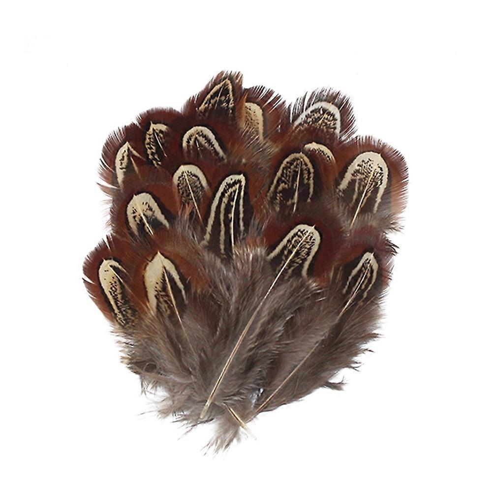 Pheasant for Decor 100Pcs Natural Light Brown DIY Craft Accessories