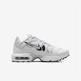 Shoes Nike Air Max Plus DV7151100