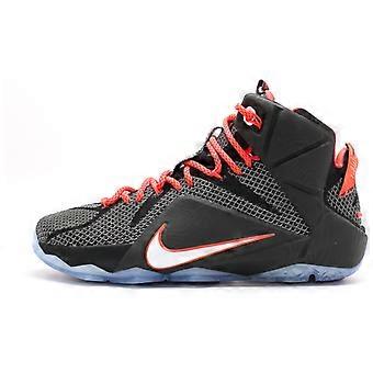 Nike LeBron 12 Court Vision 684593-016