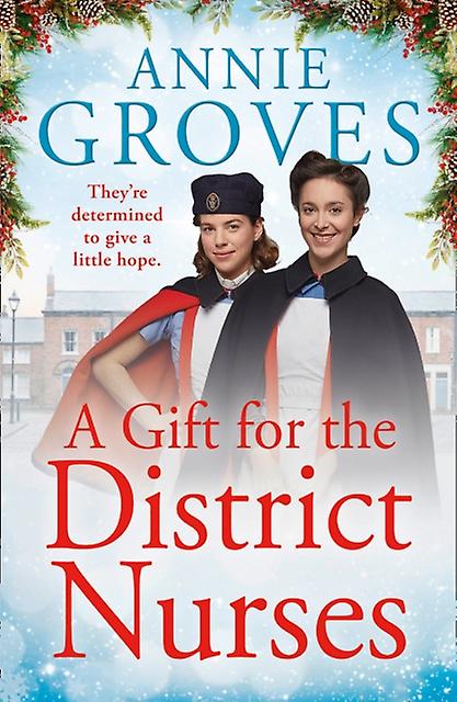A Gift For The District Nurses by Annie Groves Paperback