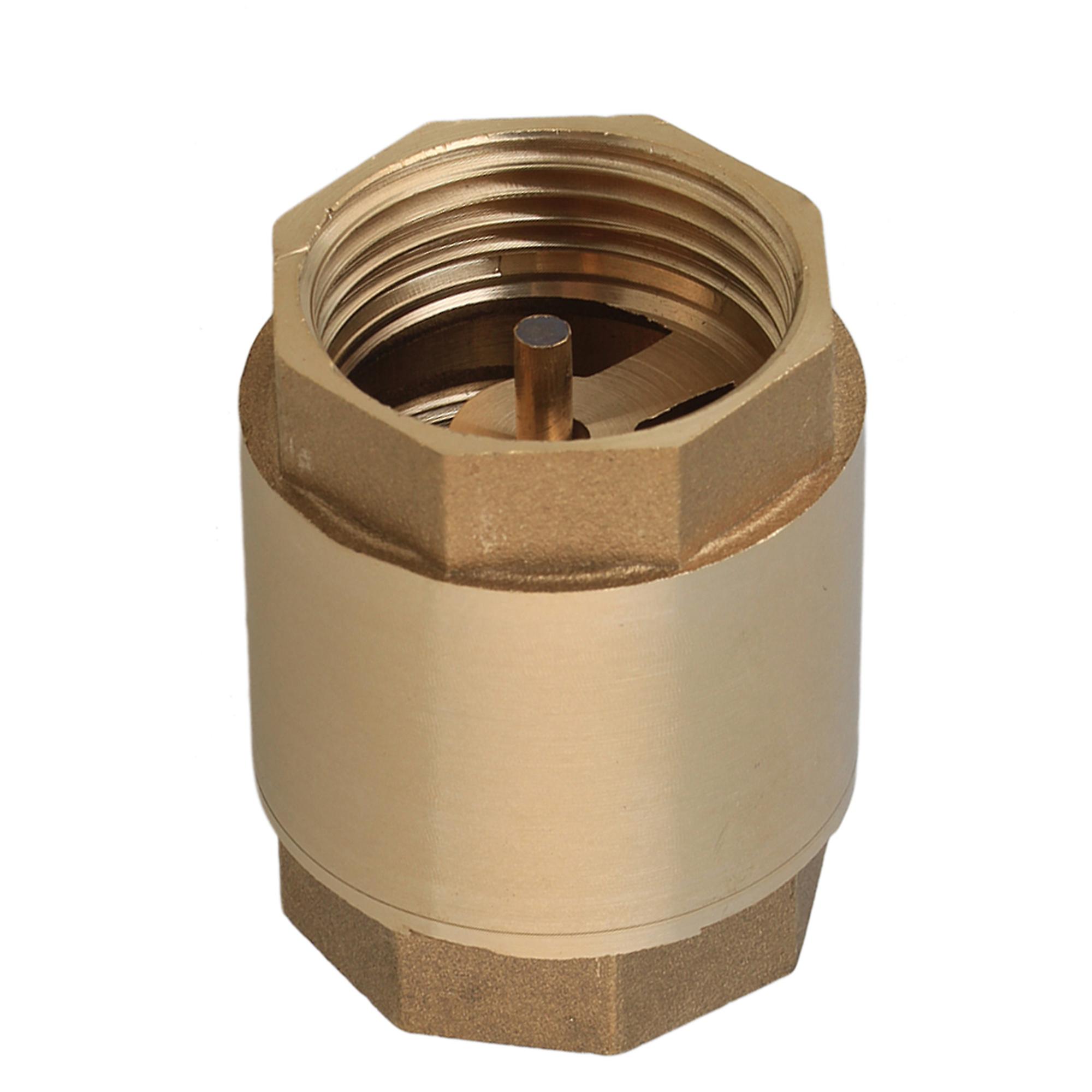 Internal Thread In-Line Check Valve 1Inch BSPP High Pressure